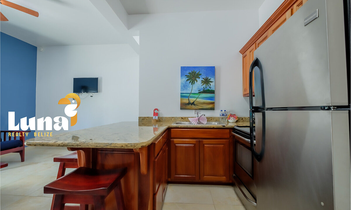 3.-E103-kitchen2