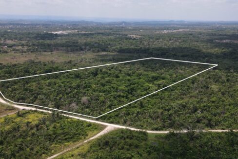 31acresmountpleasantbelize2web-1110x623