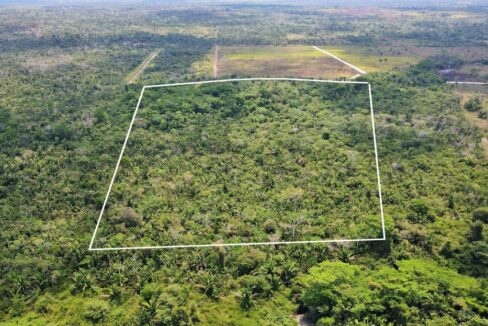 31acresmountpleasantbelize3web-1110x623
