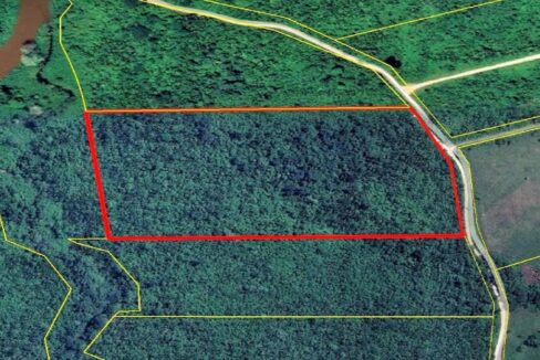31acresofagriculturallandforsalebelize3web-1110x623
