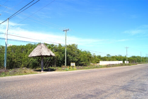 5.5620Acres20George20Price20Highway20across20Old20Belize1
