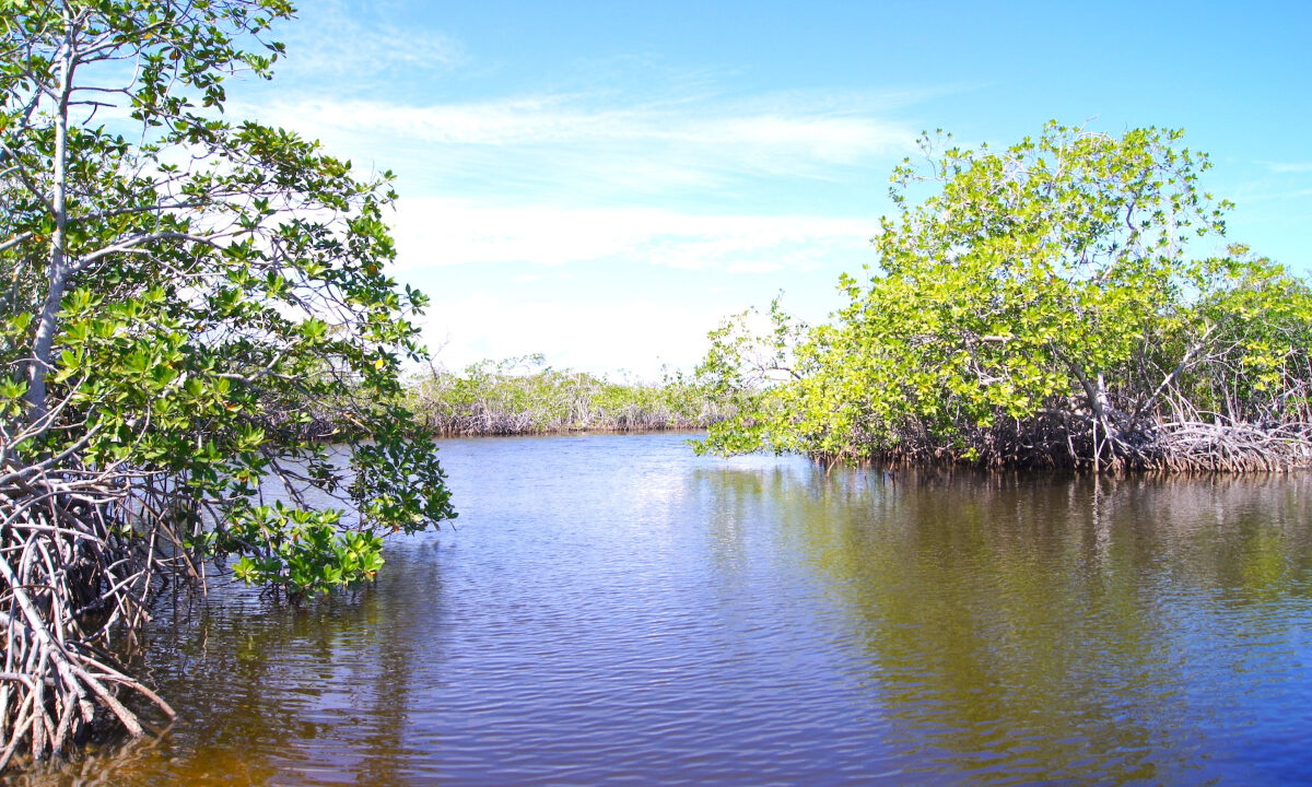 5.5620Acres20George20Price20Highway20across20Old20Belize12