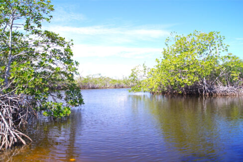 5.5620Acres20George20Price20Highway20across20Old20Belize12