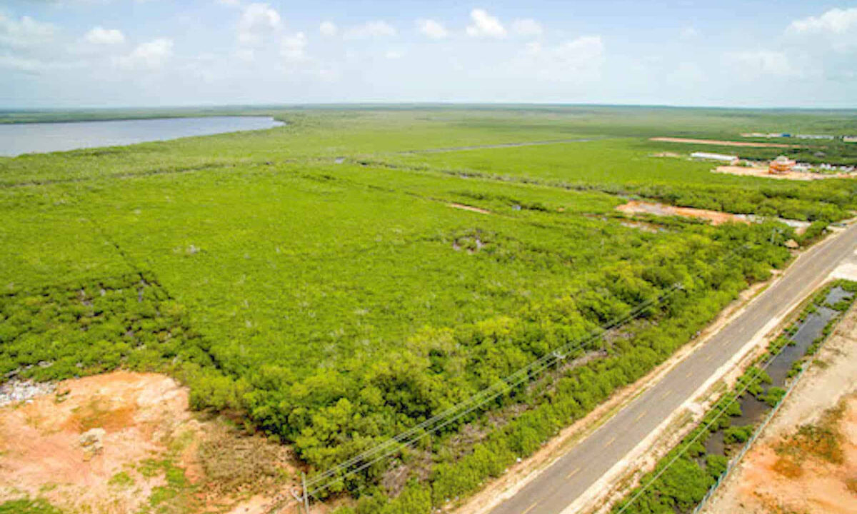 5.5620Acres20George20Price20Highway20across20Old20Belize15
