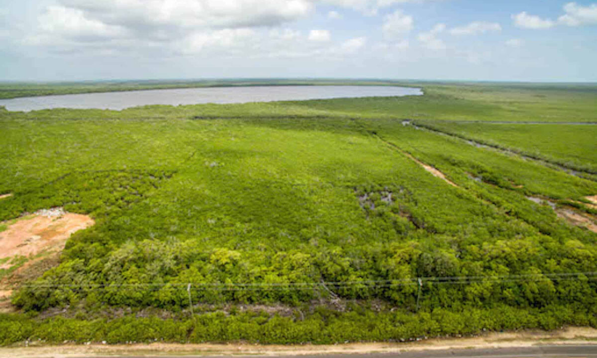 5.5620Acres20George20Price20Highway20across20Old20Belize16
