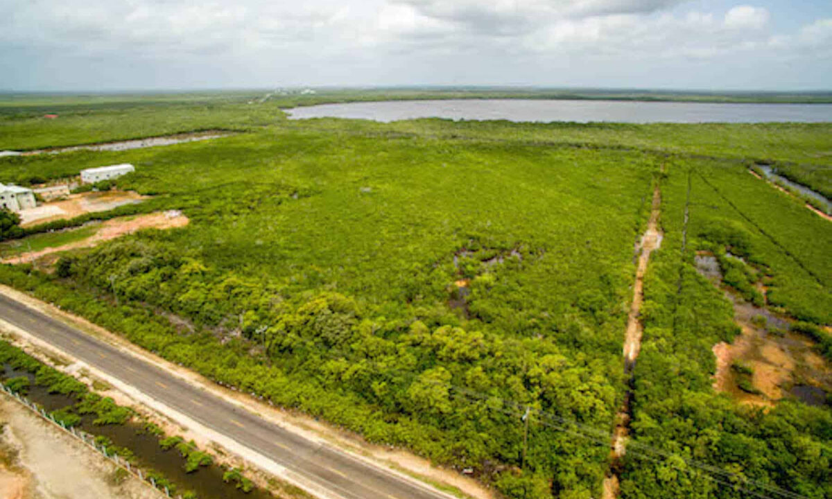 5.5620Acres20George20Price20Highway20across20Old20Belize17