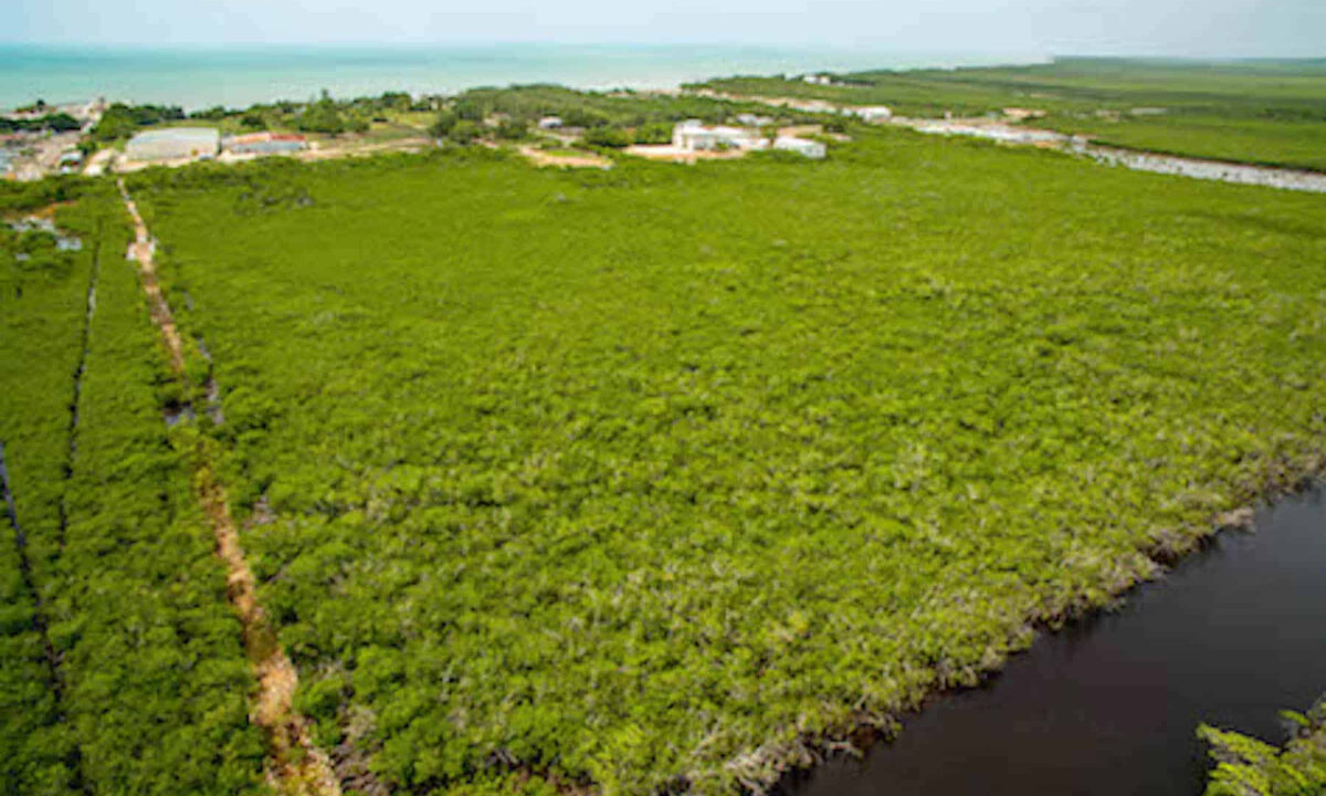 5.5620Acres20George20Price20Highway20across20Old20Belize18