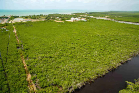 5.5620Acres20George20Price20Highway20across20Old20Belize18