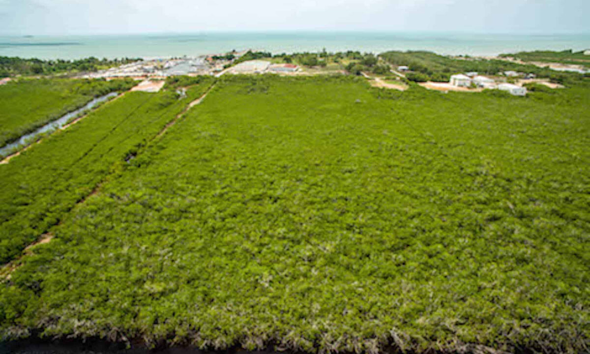 5.5620Acres20George20Price20Highway20across20Old20Belize19