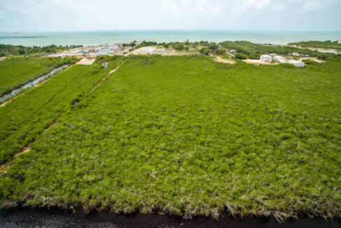 5.5620Acres20George20Price20Highway20across20Old20Belize19