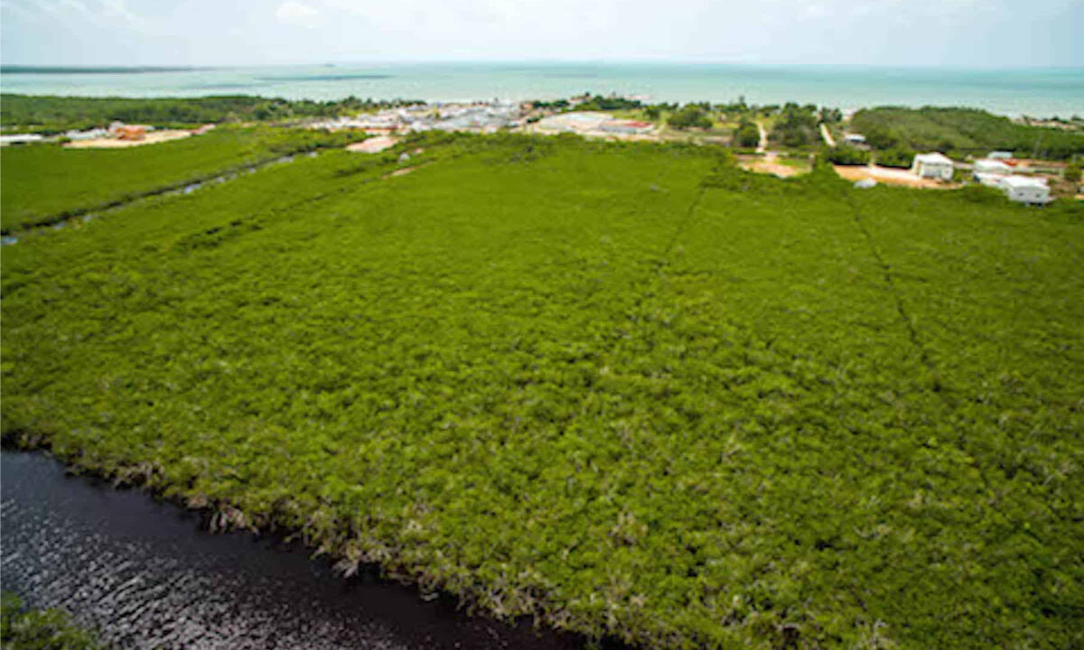 5.5620Acres20George20Price20Highway20across20Old20Belize20