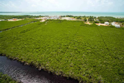 5.5620Acres20George20Price20Highway20across20Old20Belize20