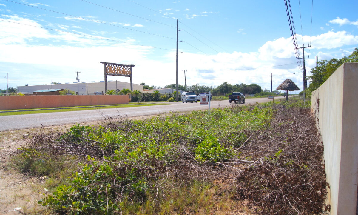 5.5620Acres20George20Price20Highway20across20Old20Belize4