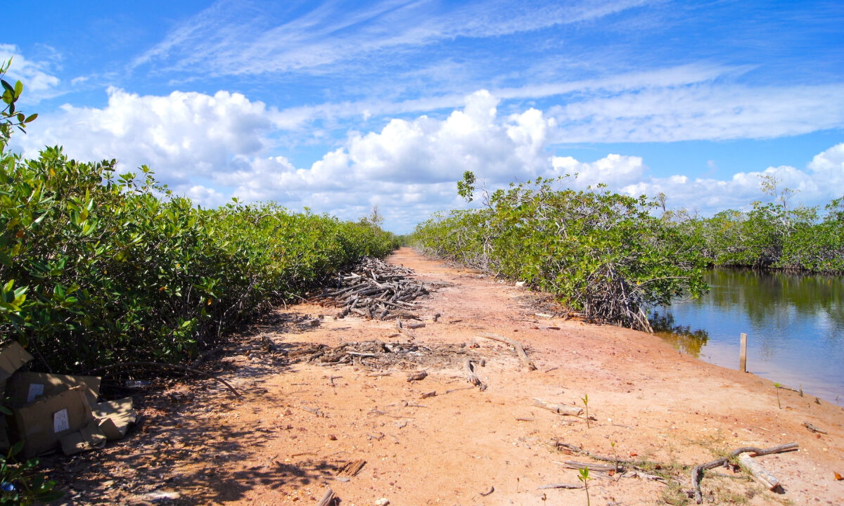 5.5620Acres20George20Price20Highway20across20Old20Belize8