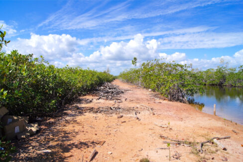 5.5620Acres20George20Price20Highway20across20Old20Belize8