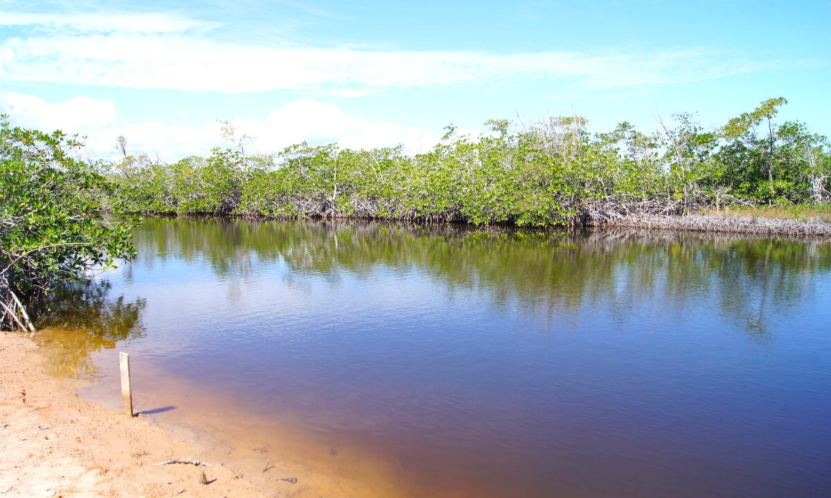 5.5620Acres20George20Price20Highway20across20Old20Belize9