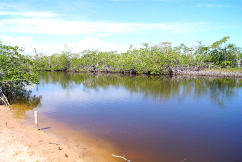 5.5620Acres20George20Price20Highway20across20Old20Belize9