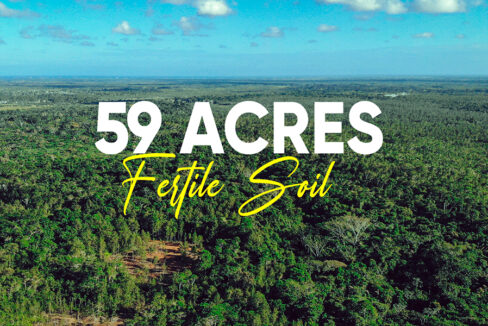 59-acres-farmland