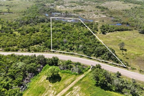 5acresforsaleboomroadbelize2web-1110x623