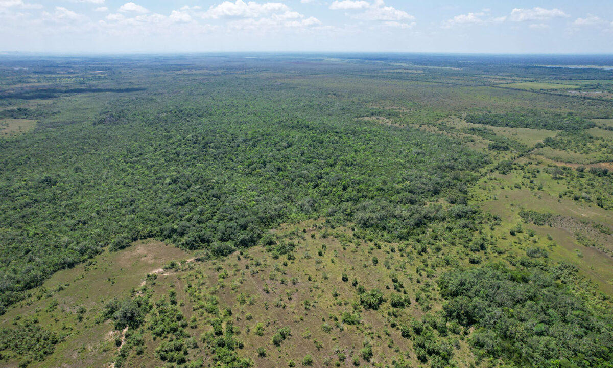 Boom-Acreage-10