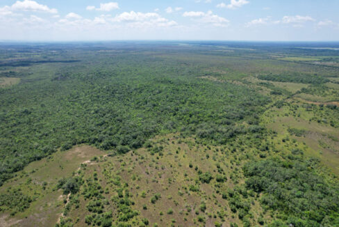 Boom-Acreage-10