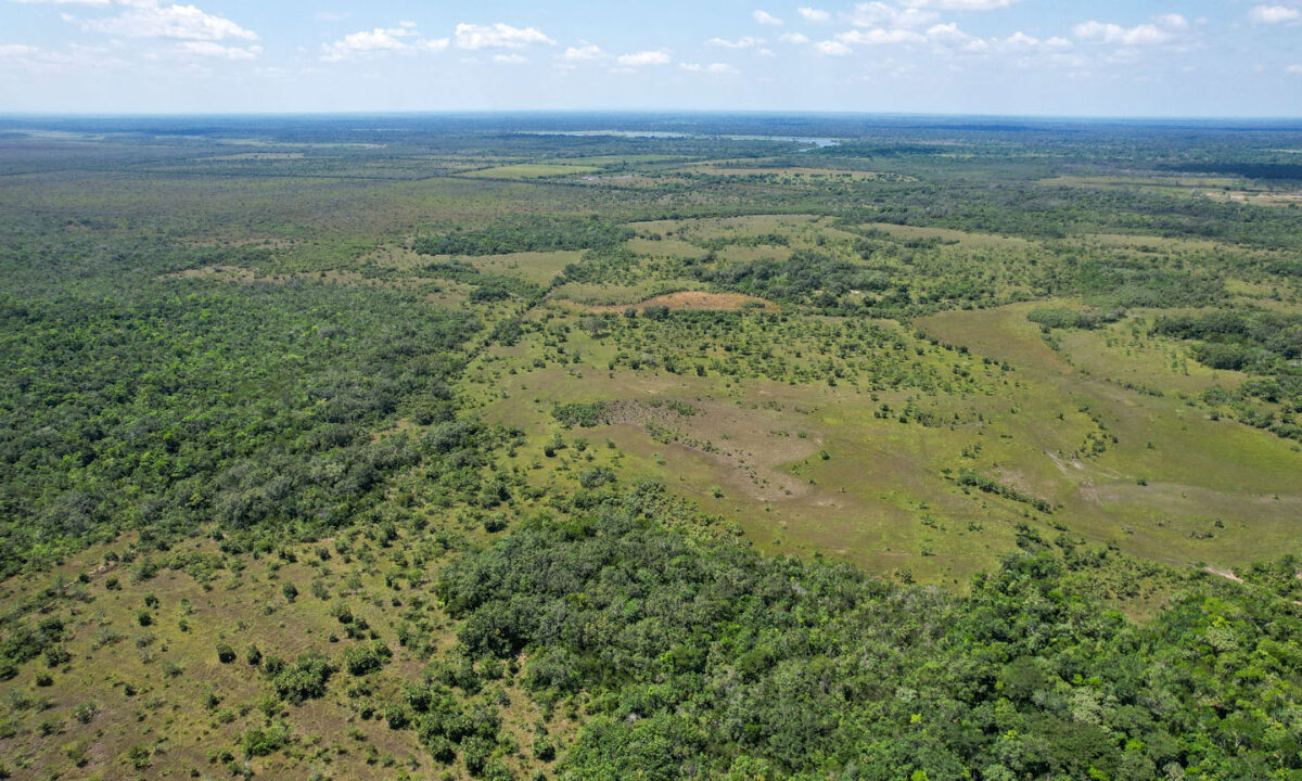 Boom-Acreage-11