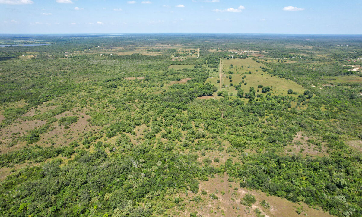 Boom-Acreage-13