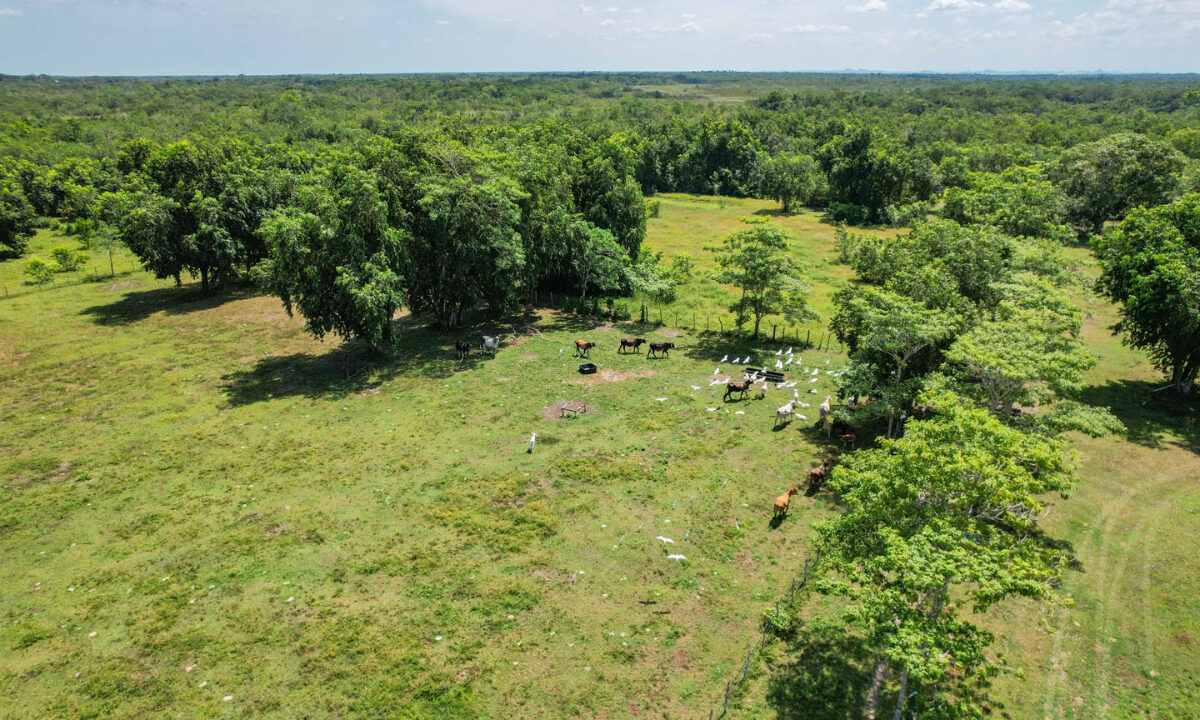 Boom-Acreage-21