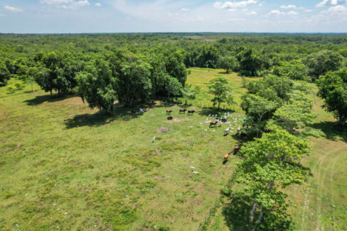 Boom-Acreage-21