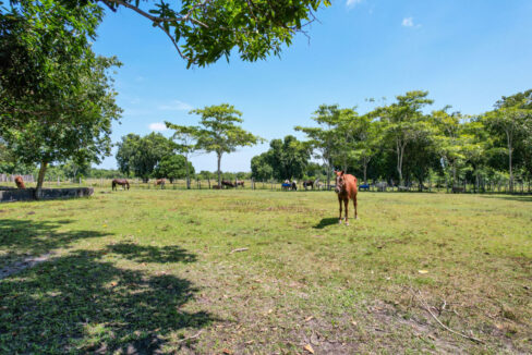 Boom-Acreage-8