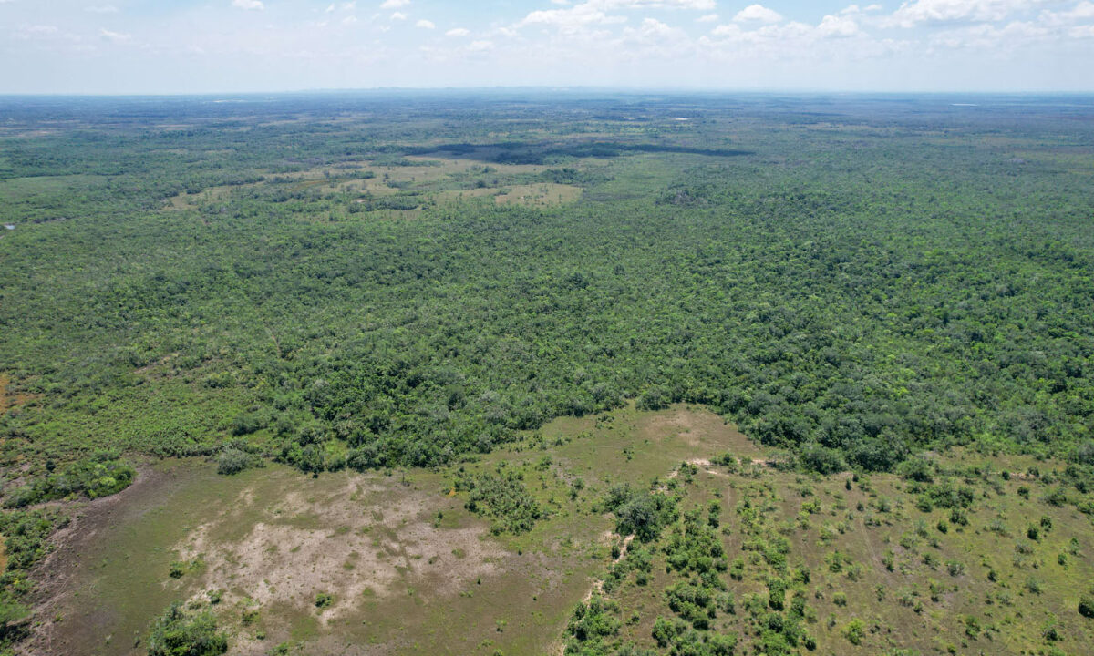 Boom-Acreage-9