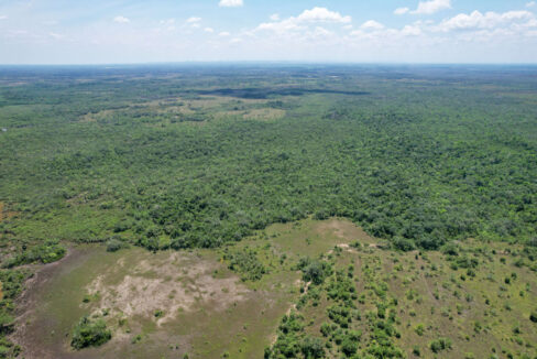 Boom-Acreage-9