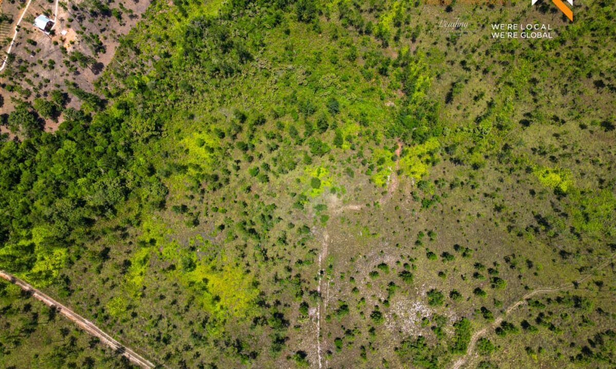 DJI_0007-2-scaled