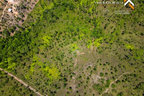DJI_0007-2-scaled