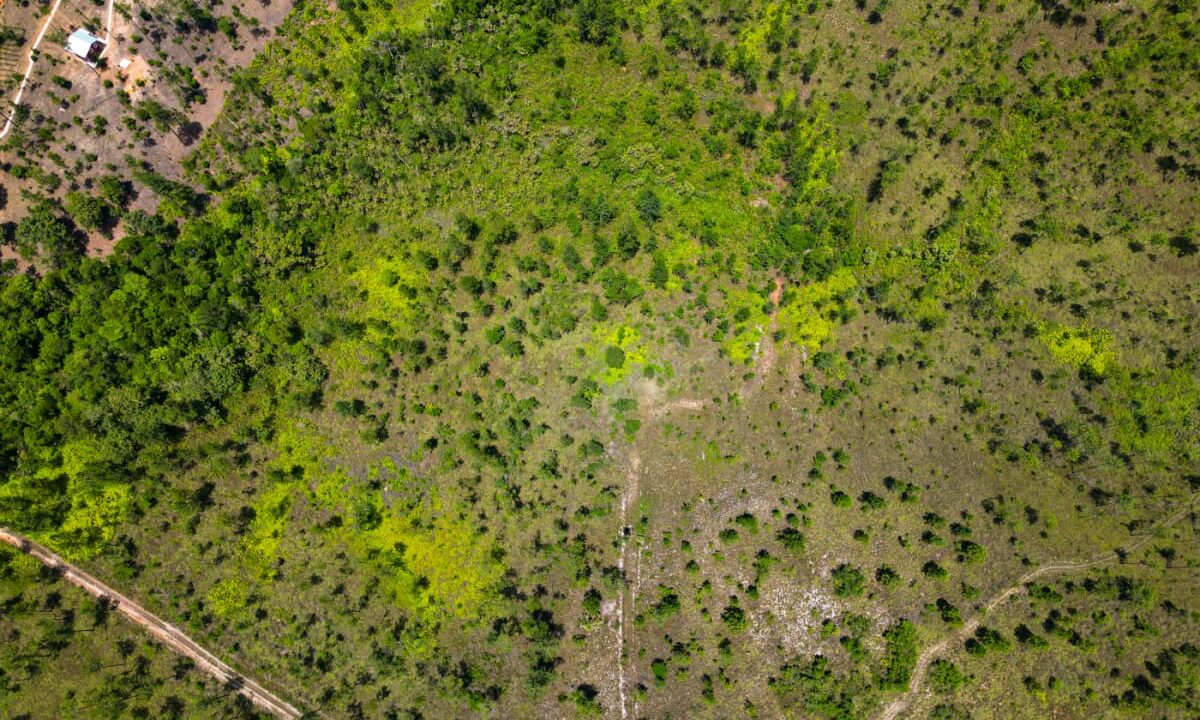DJI_0007-scaled