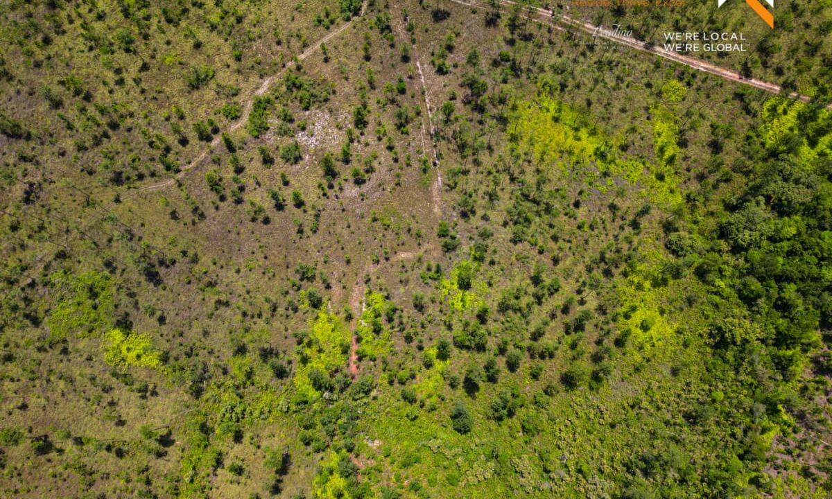 DJI_0008-2-scaled