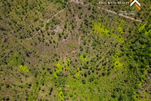 DJI_0008-2-scaled