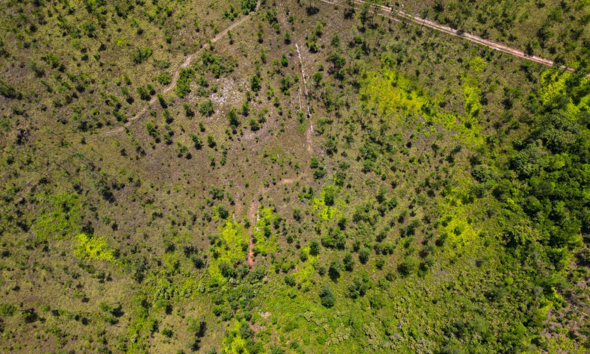 DJI_0008-scaled