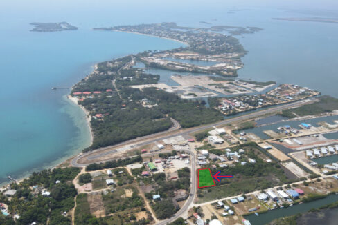 DJI_0595