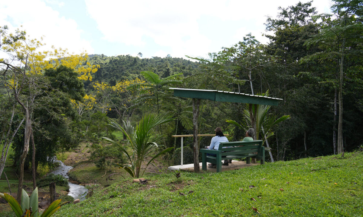 DSC02220-3