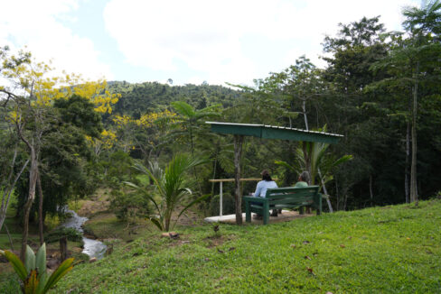 DSC02220-3