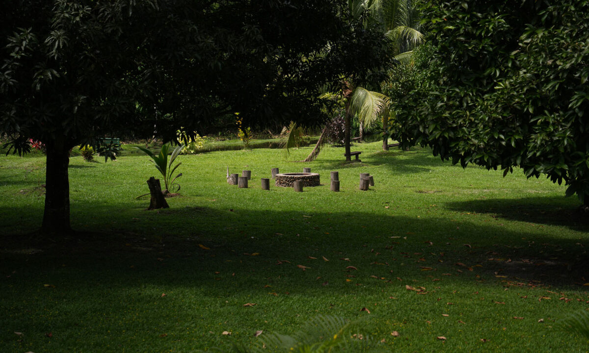 DSC02360-3
