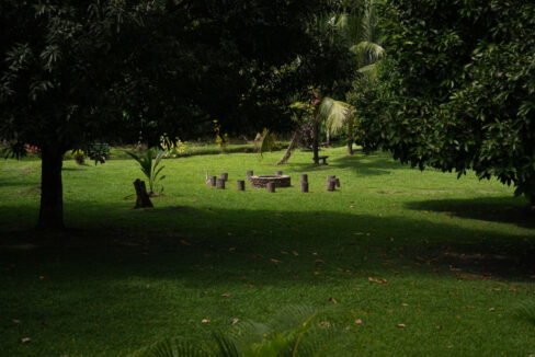 DSC02360-3