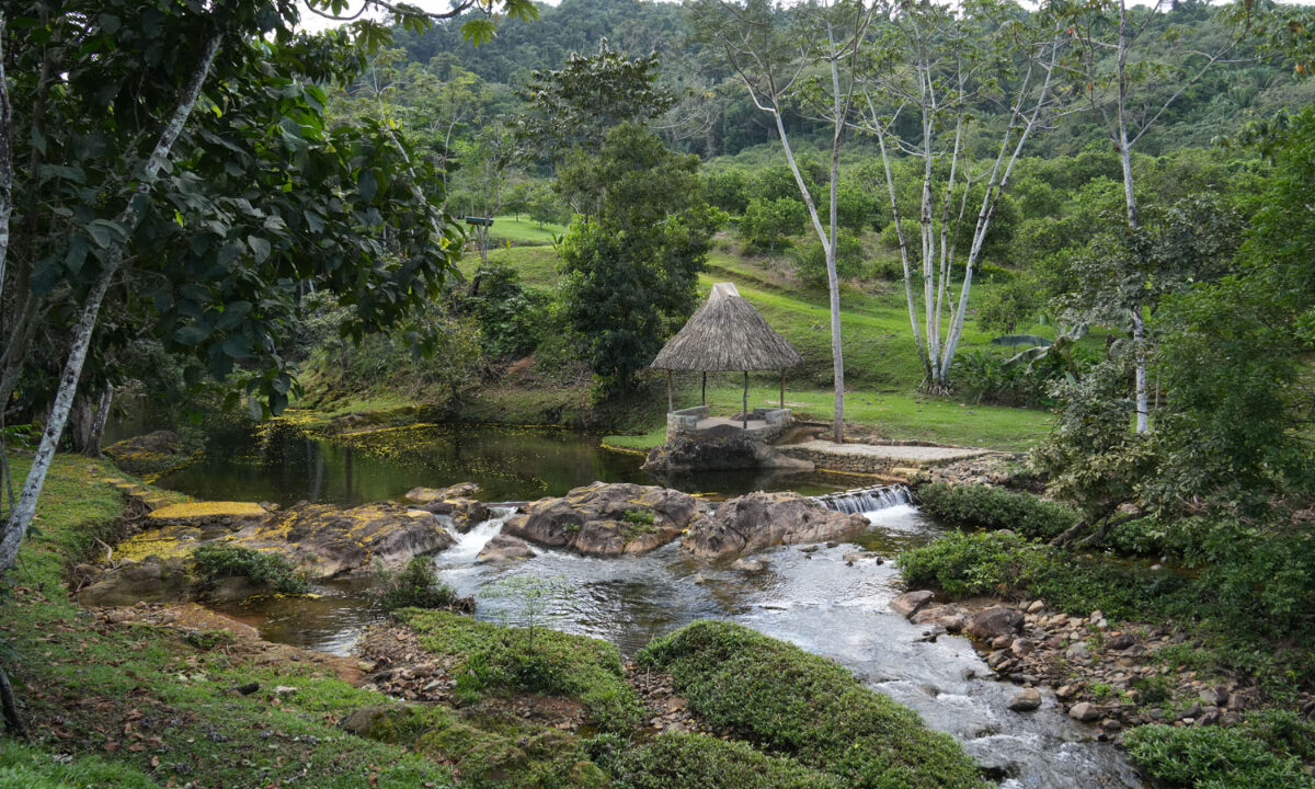 DSC02363-2