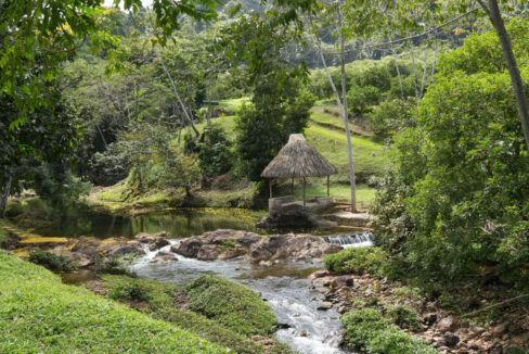 DSC02384-2