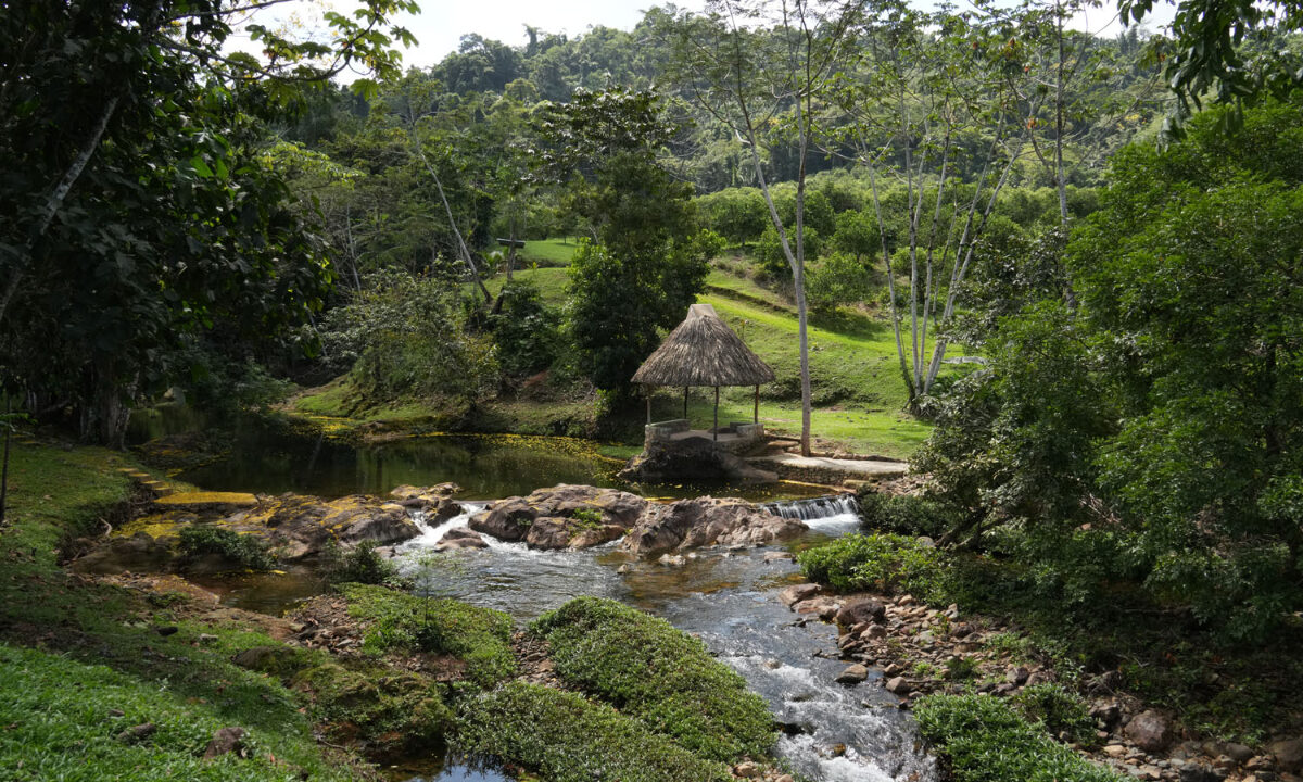 DSC02392-1