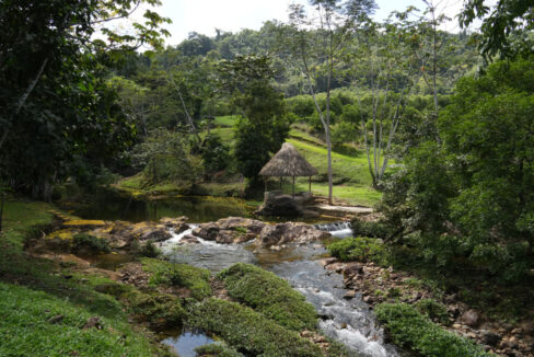 DSC02392-1