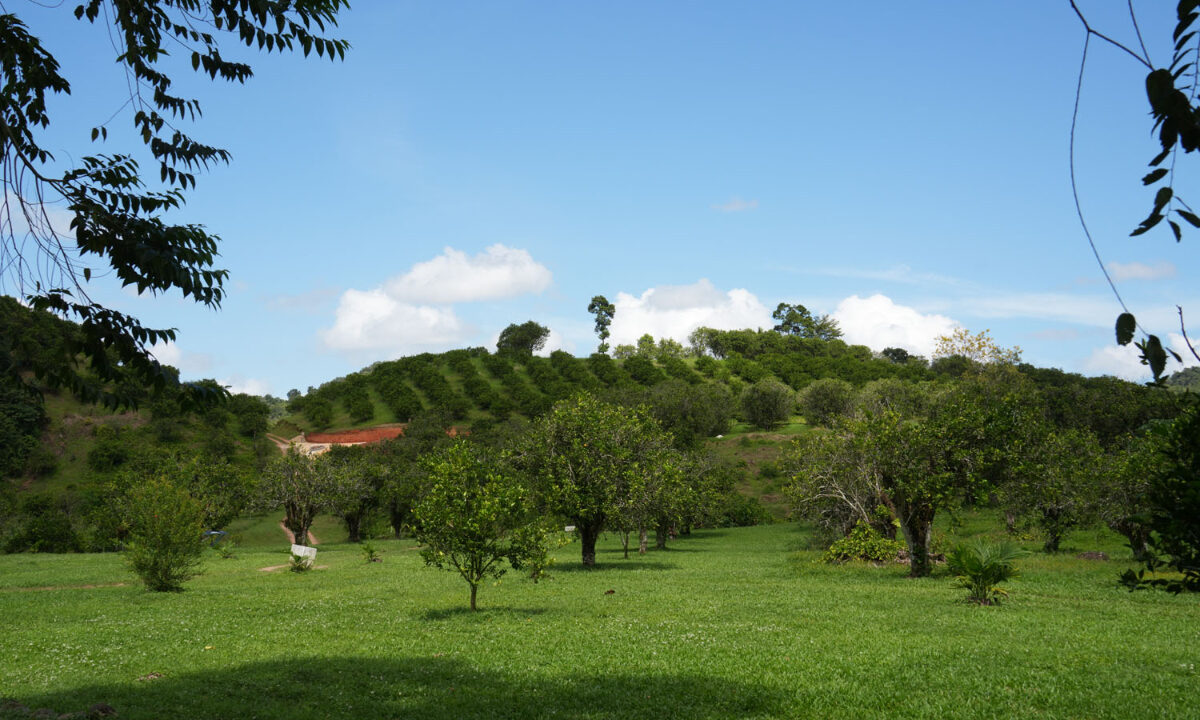 DSC02403-3