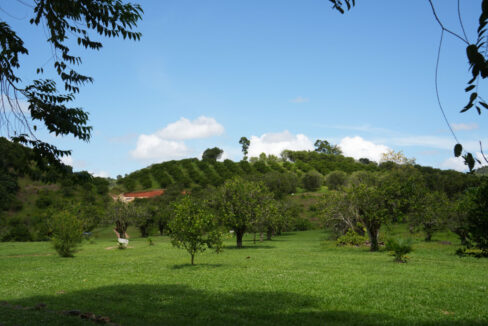 DSC02403-3