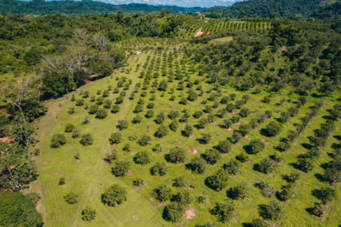 Eco20Park2028229-4